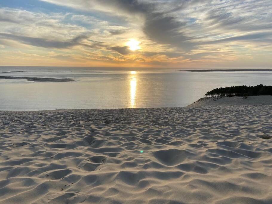 Villa Arcachon 12 Pers Avec Piscine Chauffee 1 Mai Au 30 Sept Extérieur photo